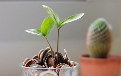 Salário Mínimo para 2026